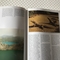 Adverteergratis.nl - 8/8