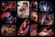 Adverteergratis.nl - 2/3