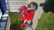Adverteergratis.nl - 2/4