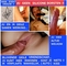 Adverteergratis.nl - 1/6