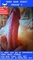 Adverteergratis.nl - 4/8