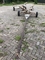 Adverteergratis.nl - 1/8