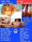 Adverteergratis.nl - 5/7